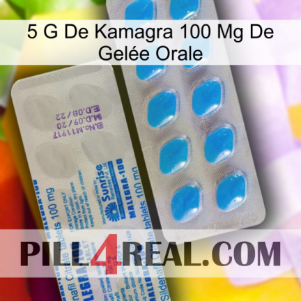5 G De Kamagra 100 Mg De Gelée Orale new15